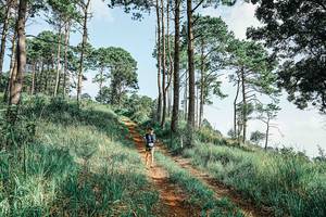 BIB: 
                            <button type="button" onclick="openModal(25676878)" class="btn btn-primary btn-sm float-right btn-popup" data-toggle="modal" data-target=".modal-high-quality">
                        <i class="fas fa-shopping-cart"></i> Add to Cart
                    </button>
                                            <button type="button" onclick="isThisMe(25676878, true)" class="btn btn-success btn-sm float-right btn-popup btn-isme hidden" data-toggle="tooltip" data-placement="bottom" title="นี่คือรูปของคุณใช่ไหม คลิกที่นี่เพื่อเอาเข้าอัลบั้ม">
                        <i class="fas fa-plus"></i> Add to album
                    </button>
                    <button type="button" onclick="isThisMe(25676878, false)" class="btn btn-warning btn-sm float-right btn-popup btn-isnotme hidden">
                        <i class="fas fa-ban"></i> Remove from album
                    </button>